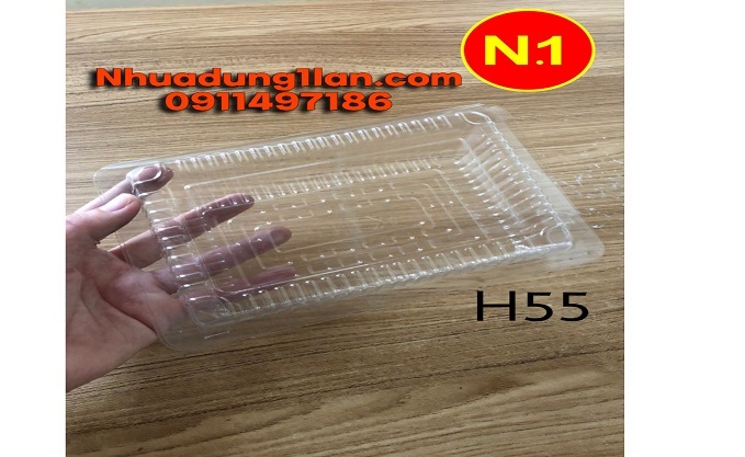 Hộp Nhựa H55